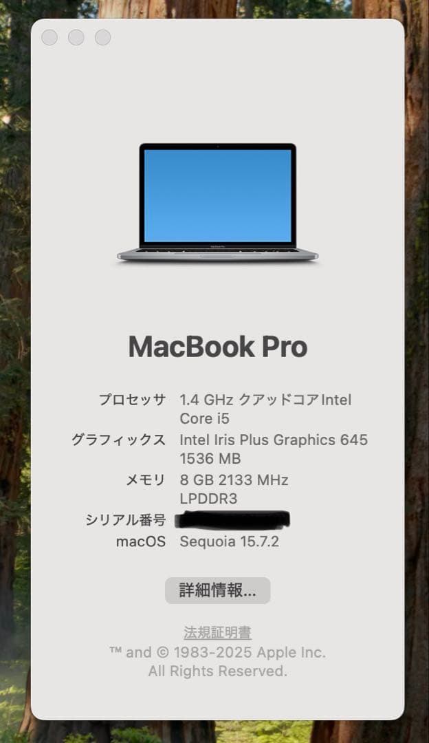 MacBook Pro 2019 Intel Core 13インチ