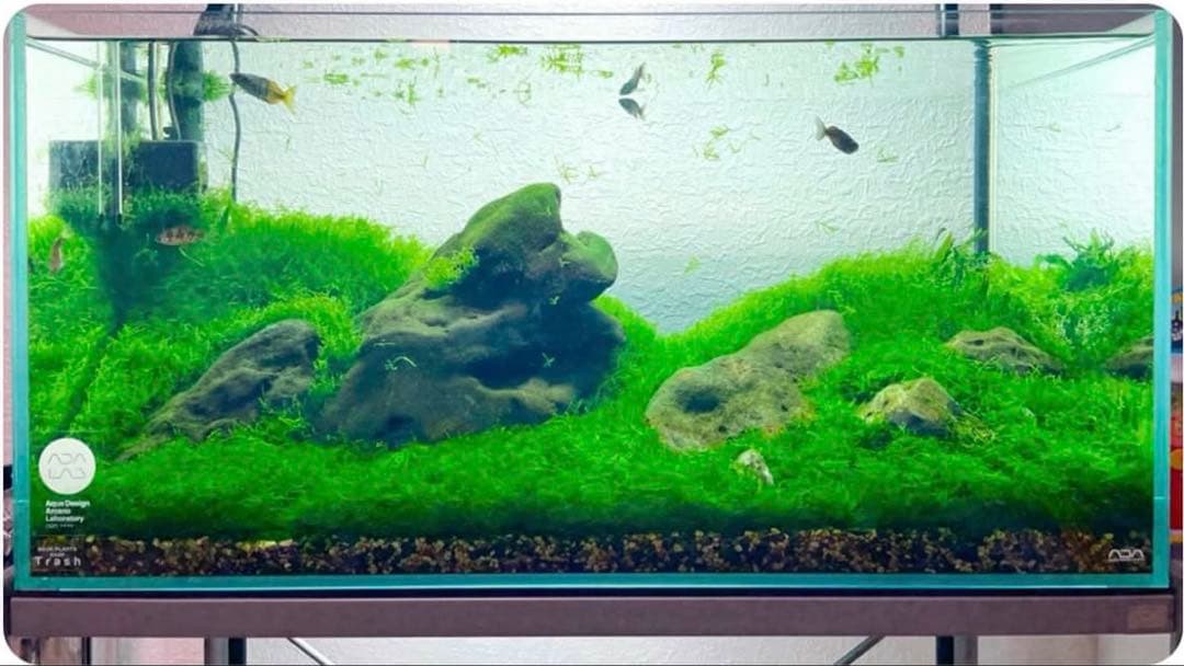 八海石セット 16.6kg