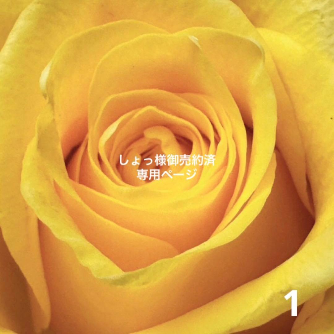 専用◇ ロイヤルコペンハーゲンブルーフルーテッドハーフレースピックルディッシュB