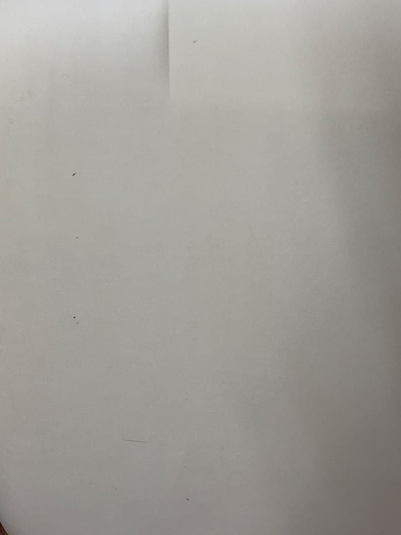 アースライト社製　マッサージベッド