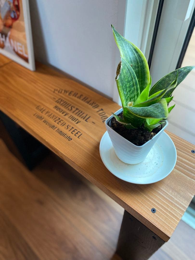 簡易チェアー　テレビ台　ディスプレイ台