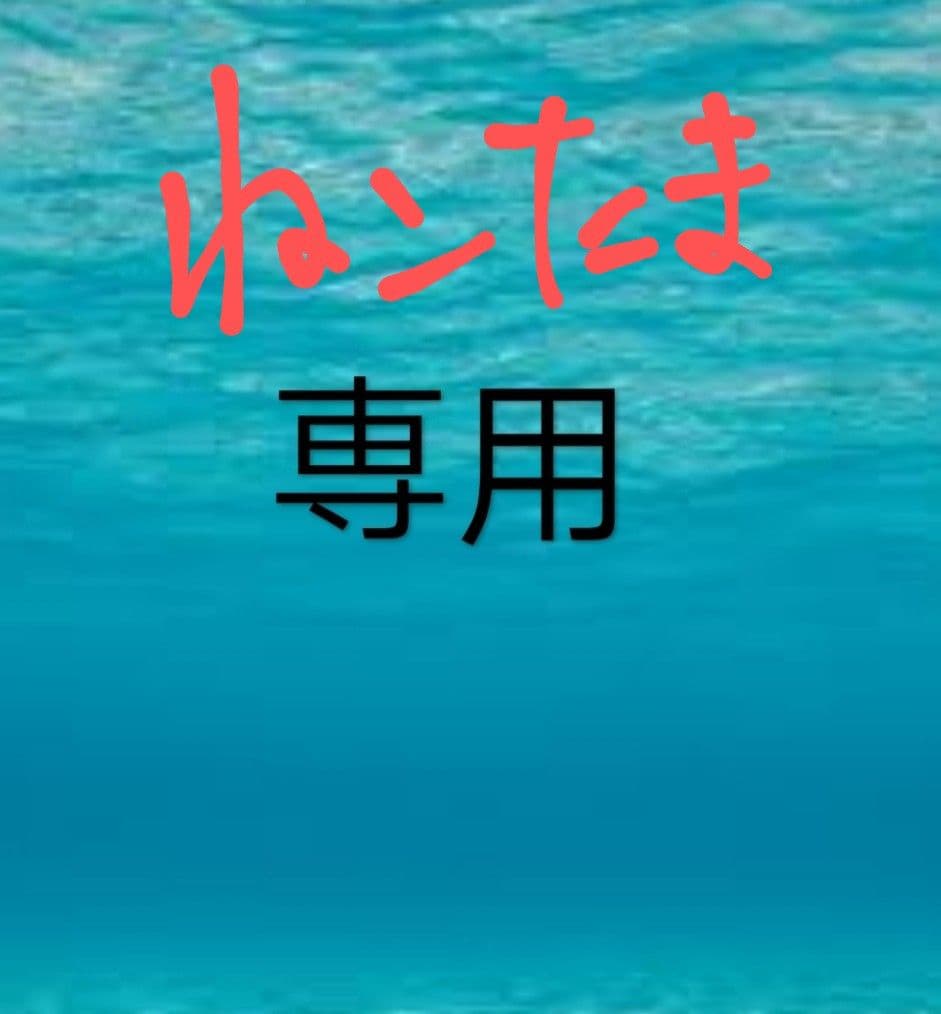 貝柱１ｋ 赤身 ねこたま