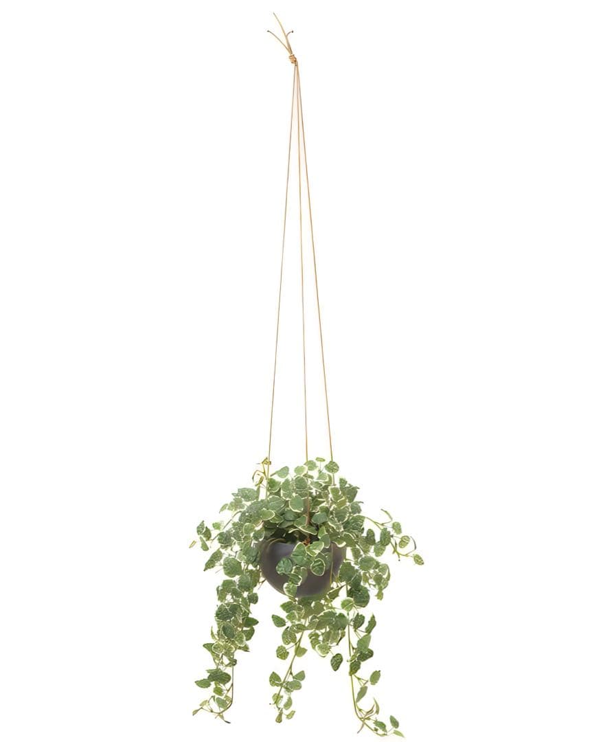 光触媒　人工観葉植物　ウォールグリーン　フェイクグリーン　プミラハンギング