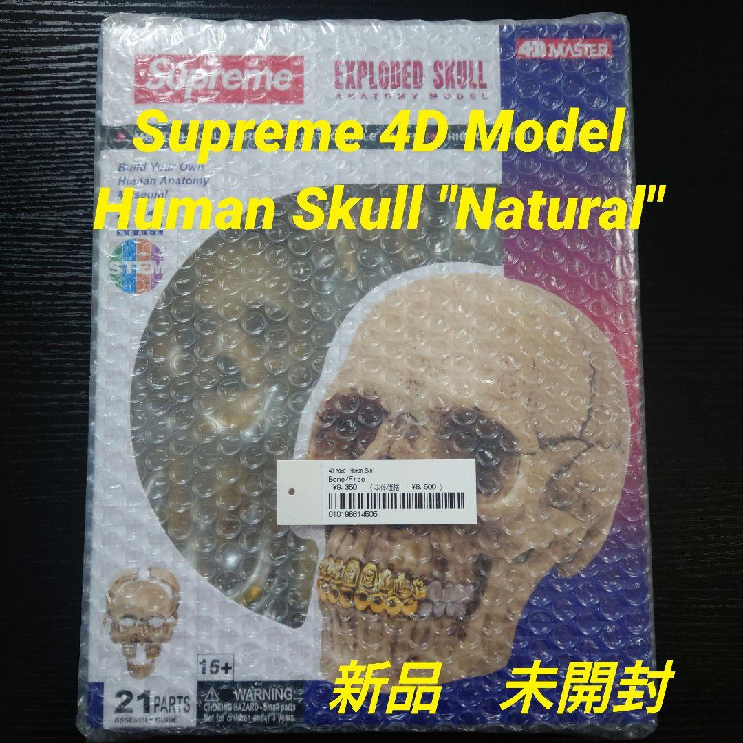 未開封 Supreme 4D Model Human Skull Natural