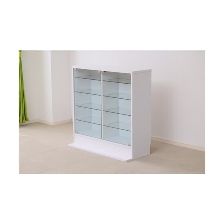 ＊コレクションラック　ロータイプ＊