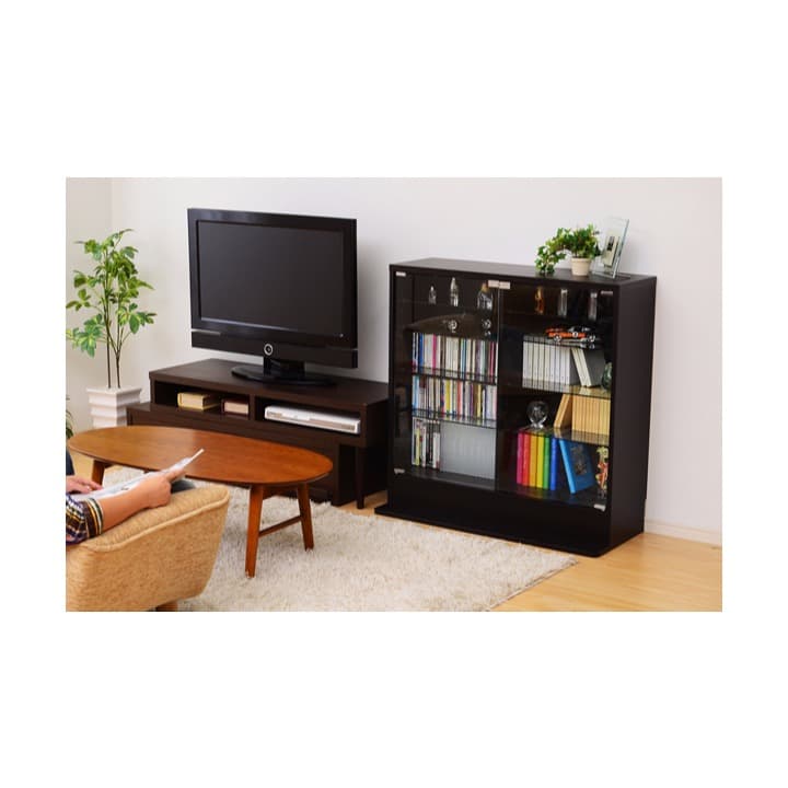 ＊コレクションラック　ロータイプ＊