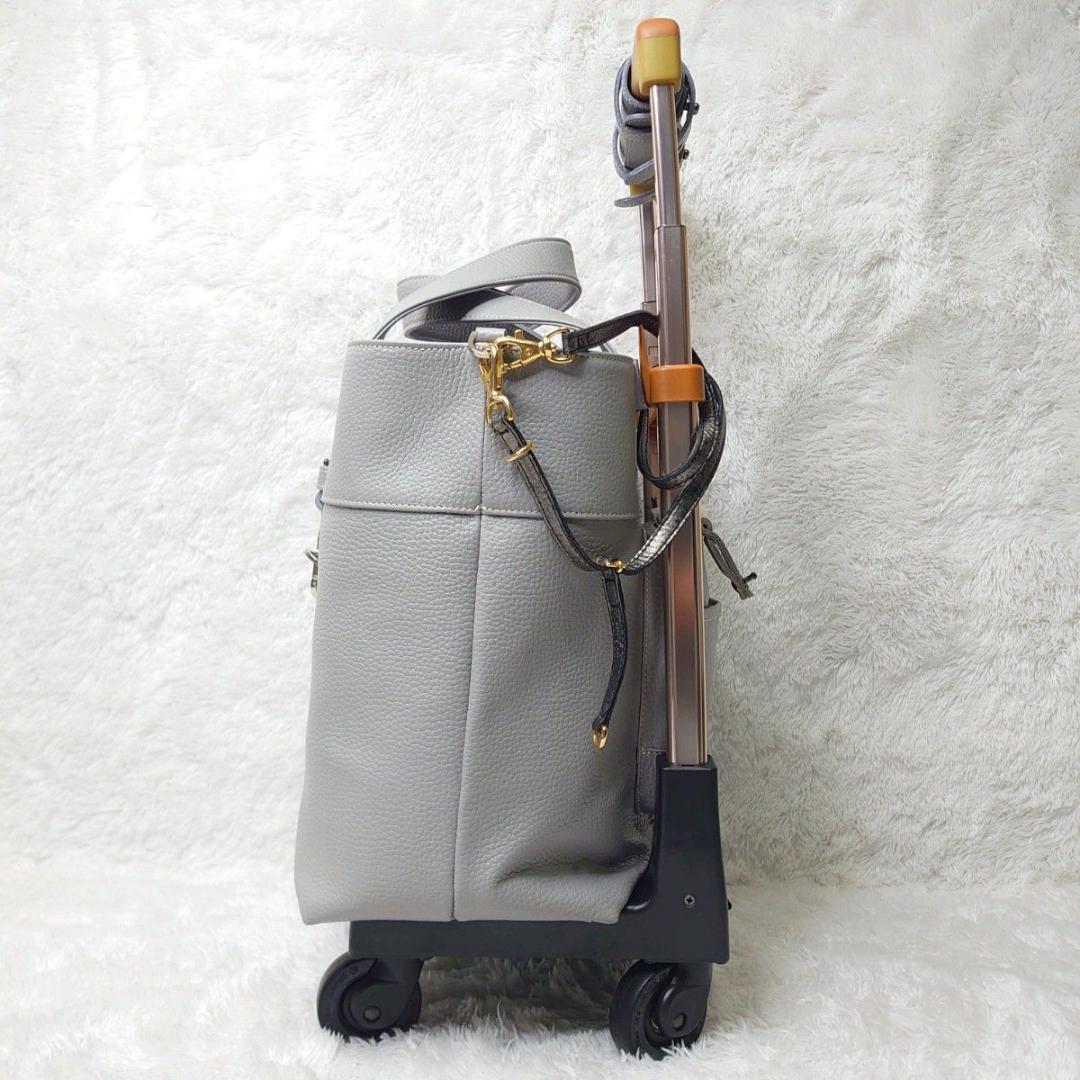 【美品】SWANY スワニー キャリーバッグ ボンジャポネ 専用レインカバー付
