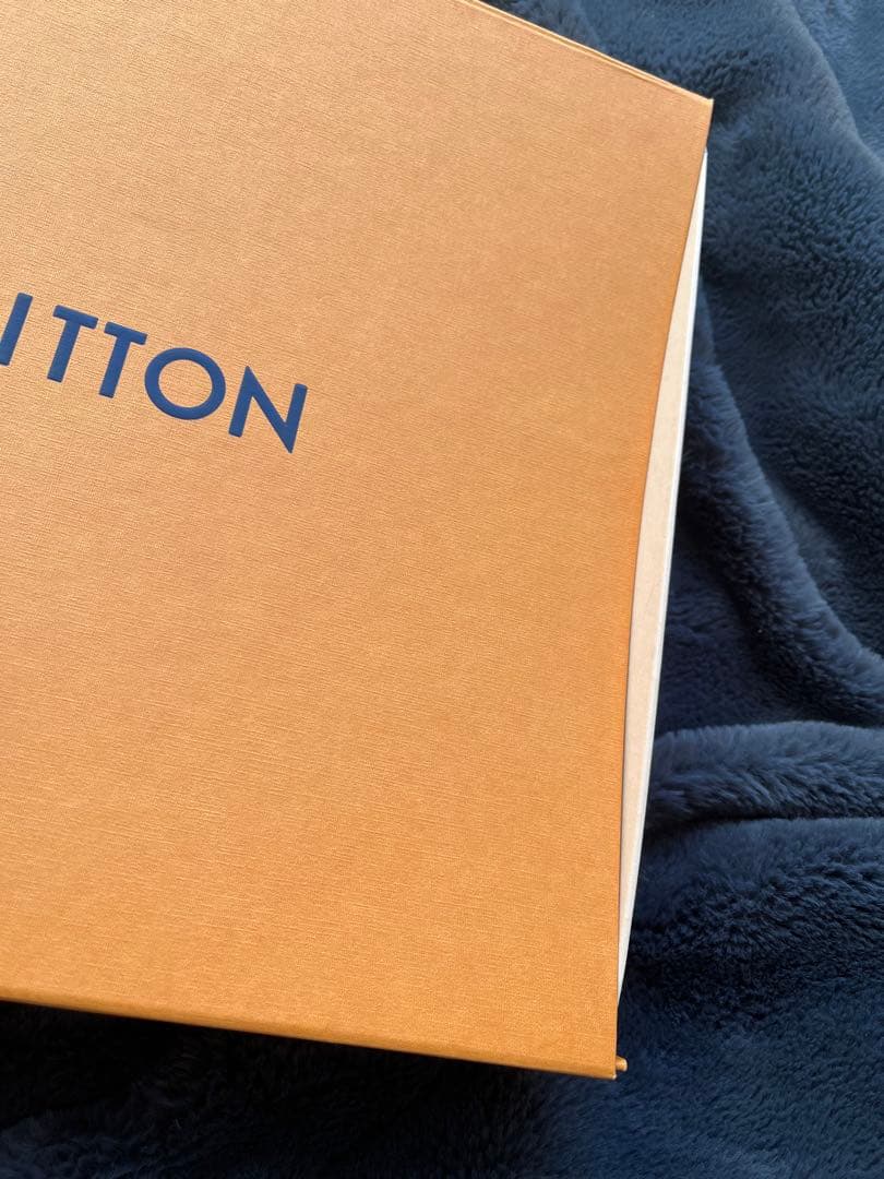 【未使用】LOUIS VUITTON マフラー・モノグラム グラディエント