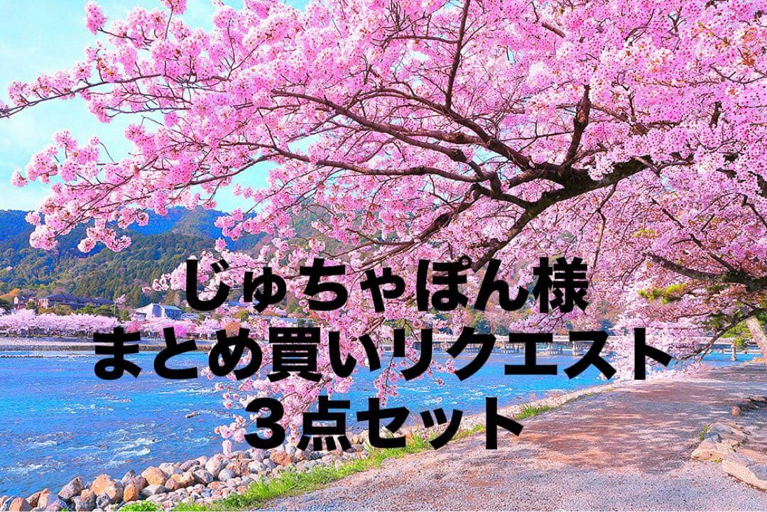 じゅちゃぽん様まとめ買いリクエスト３点セット