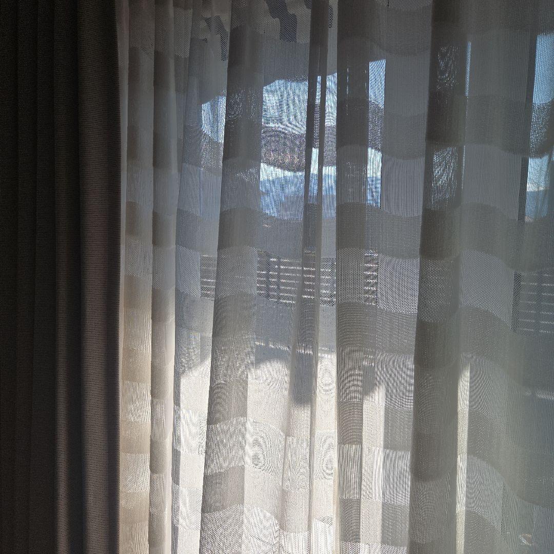 「アオガエルさま専用」