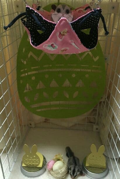 モモンガハウス(スイーツカップ柄)紺ドット  春(夏)秋仕様  1850円