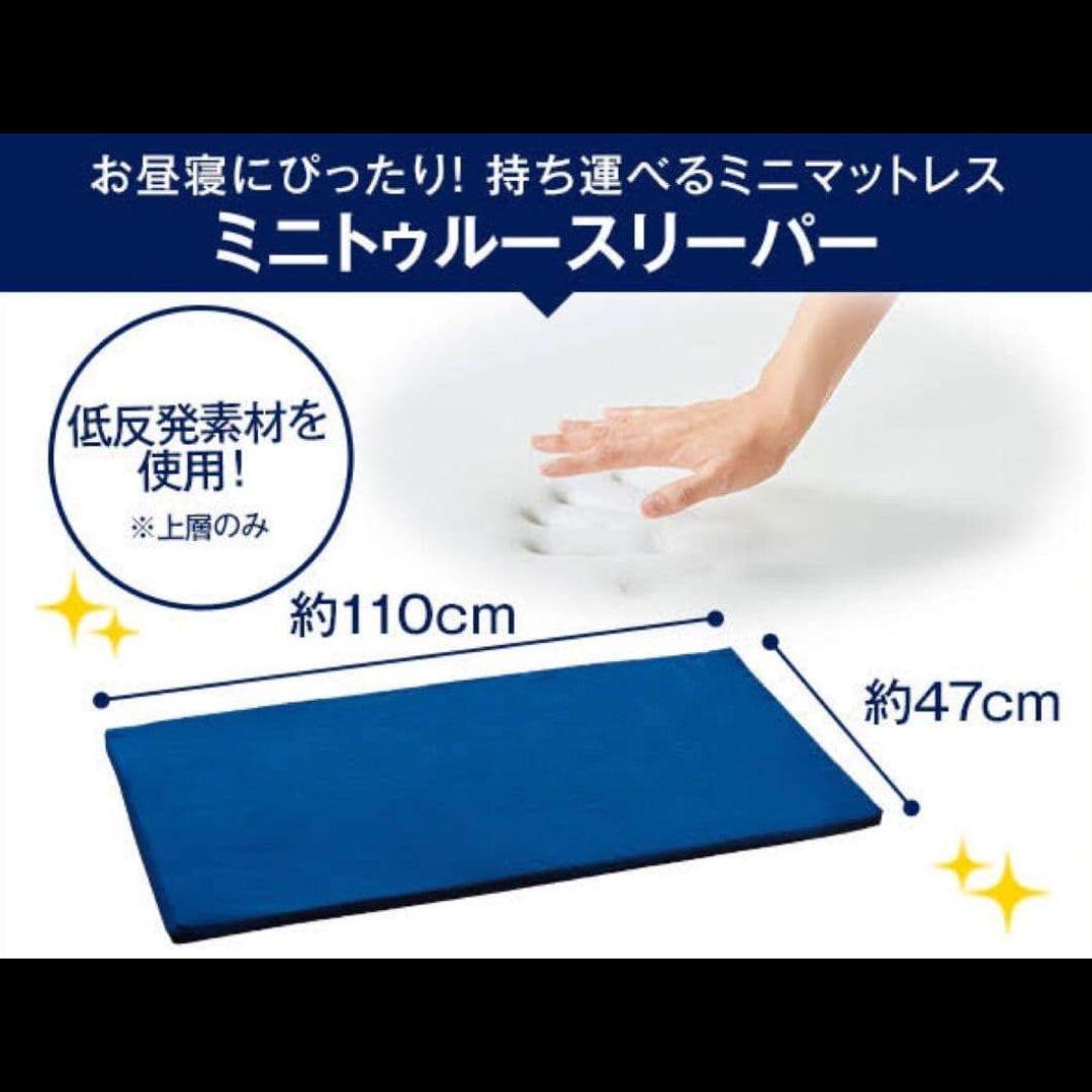 【新品未使用】True Sleeper ミニトゥルースリーパー 2枚セット
