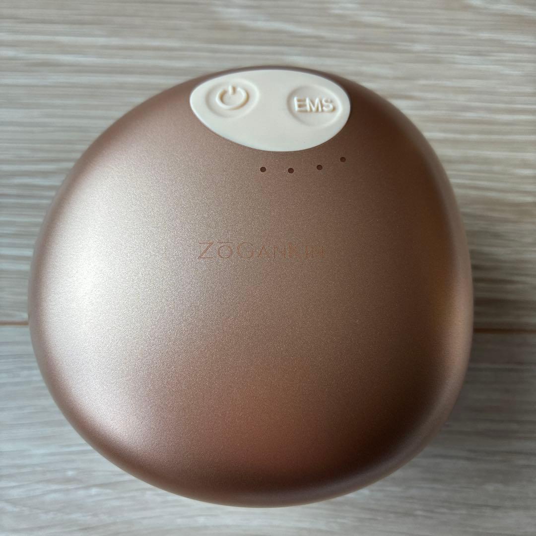 ZOGANKIN ゾーガンキンスカルプ 頭皮ケア リフトアップ　新品