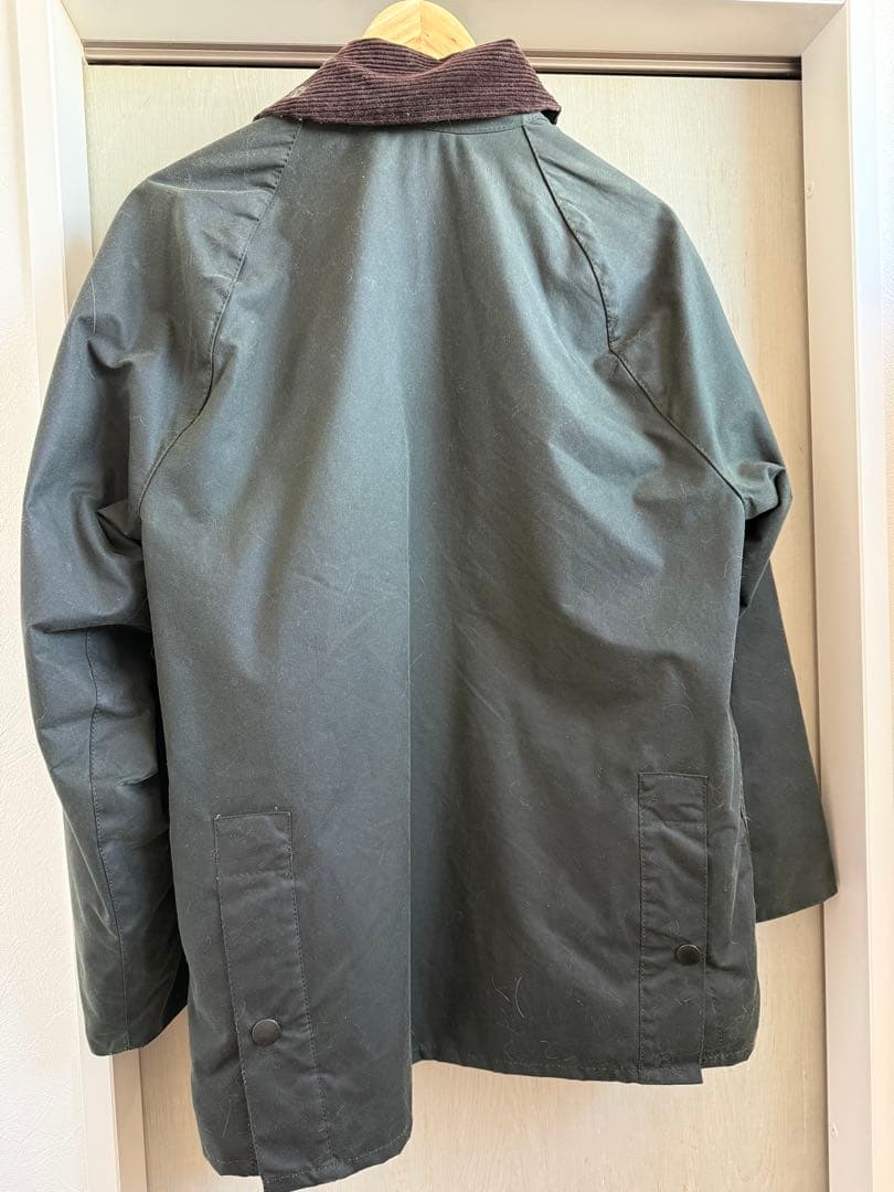 【カエル】バブアー　ビデイル