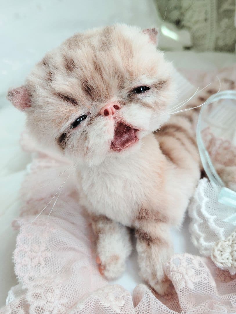 生後２０日♡トラ柄子猫ちゃん♡お昼寝セット♡アートドール♡ぬいぐるみ♡