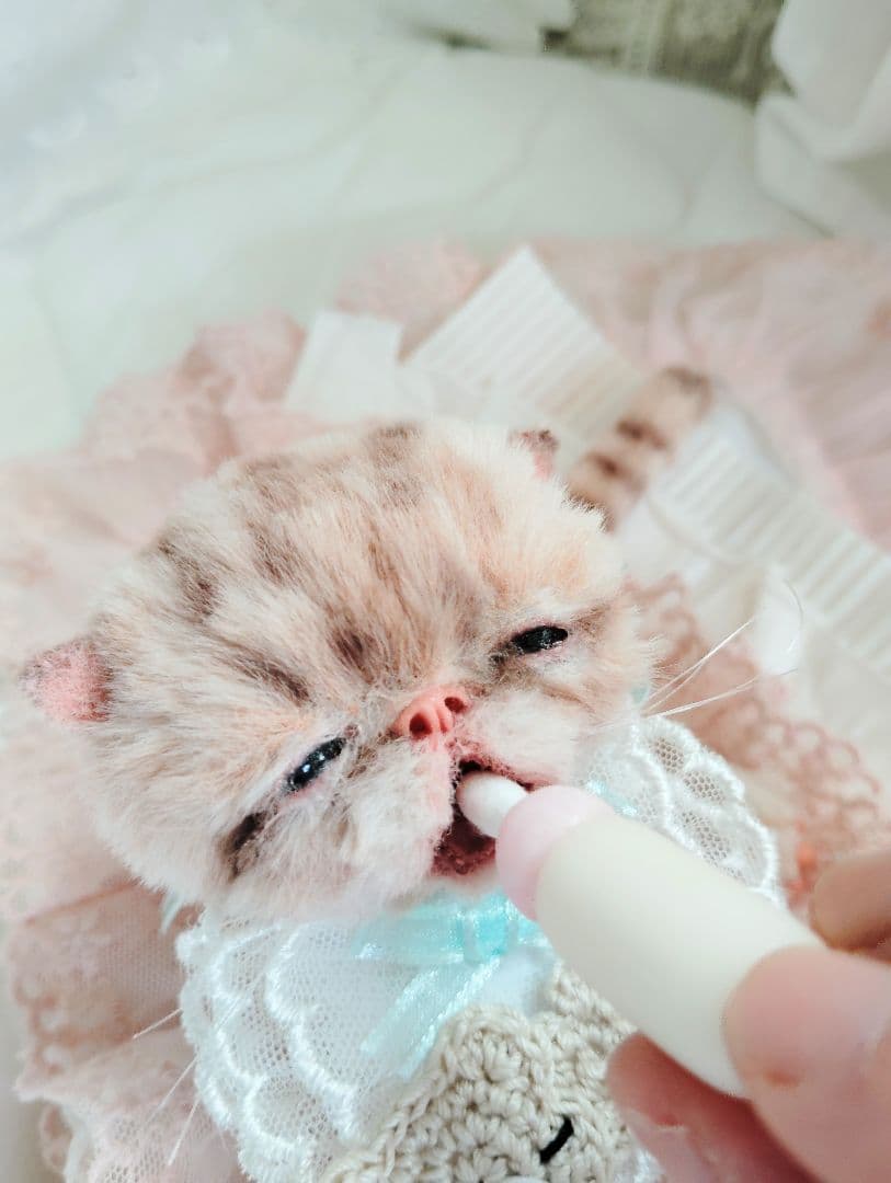 生後２０日♡トラ柄子猫ちゃん♡お昼寝セット♡アートドール♡ぬいぐるみ♡