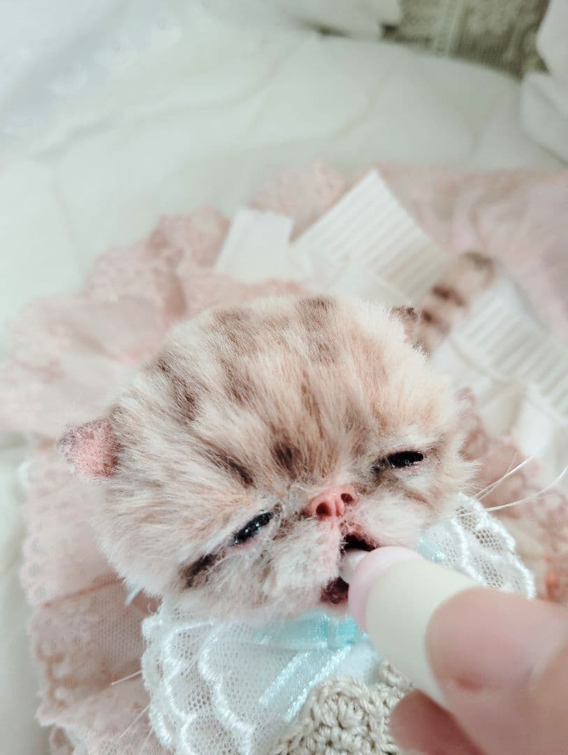 生後２０日♡トラ柄子猫ちゃん♡お昼寝セット♡アートドール♡ぬいぐるみ♡