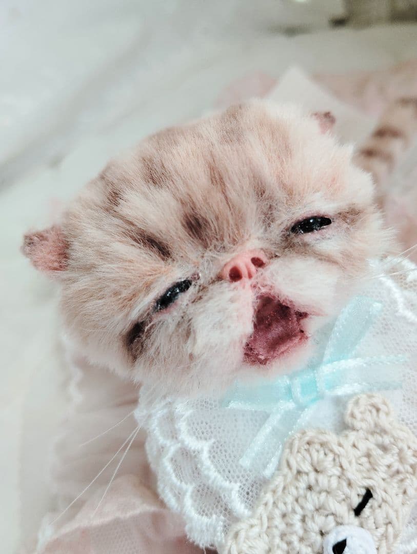生後２０日♡トラ柄子猫ちゃん♡お昼寝セット♡アートドール♡ぬいぐるみ♡