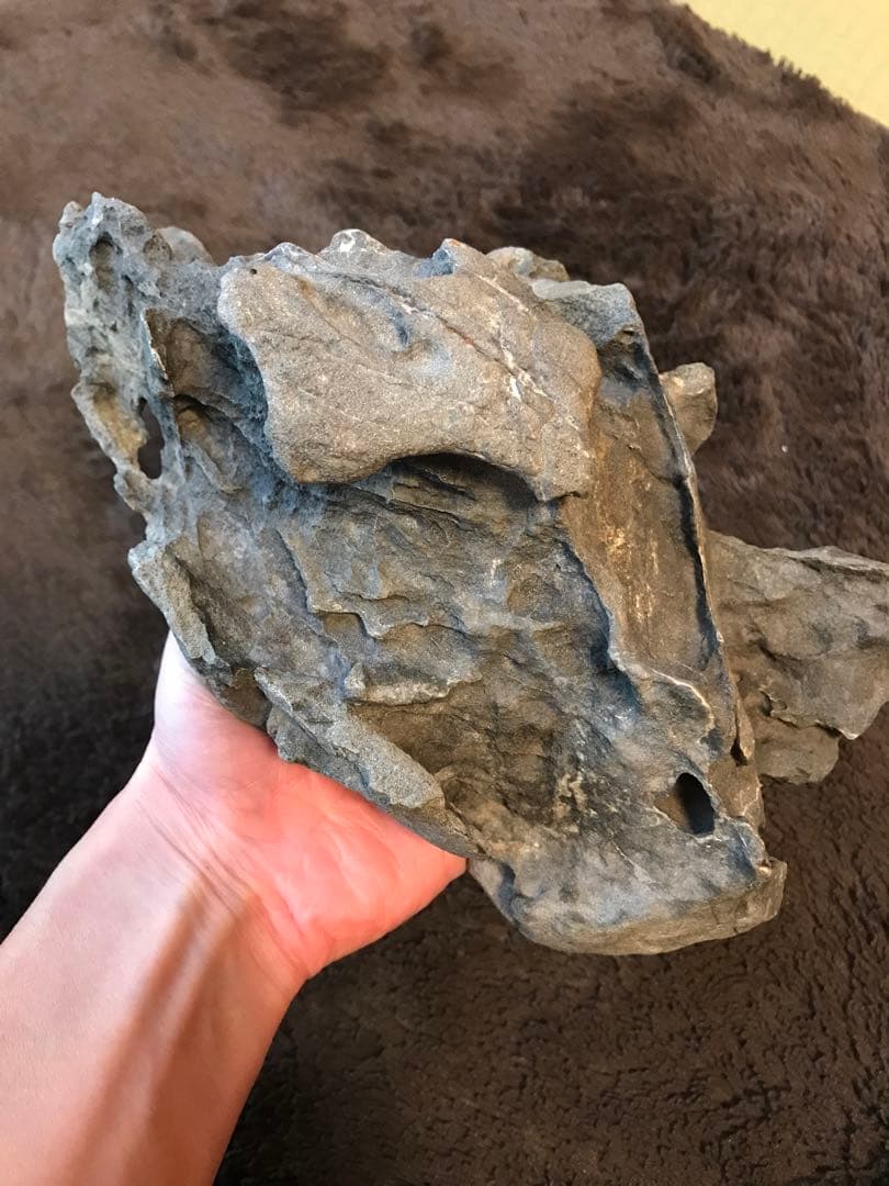 水石　鑑賞石　豊似石　自然石　翡翠　水盤　ジャスパー　鉱物　瀬田川石　加茂川石