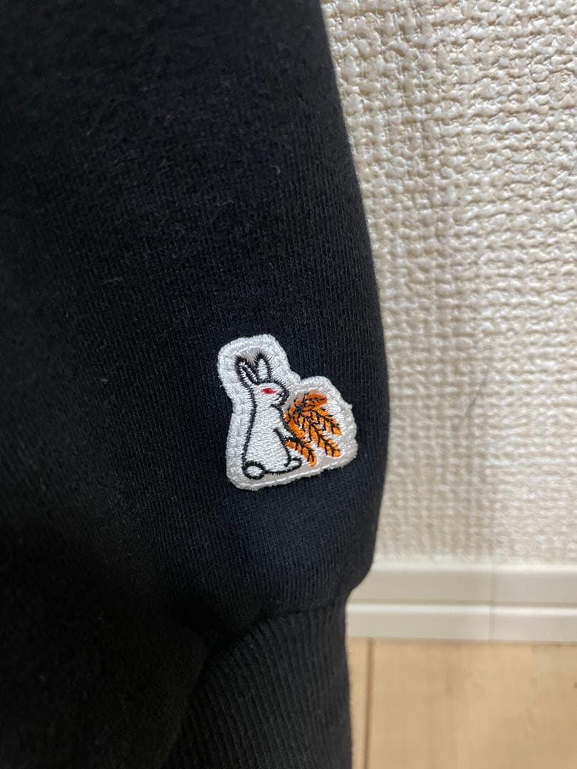 FR2 柳　ハーフジップLサイズ