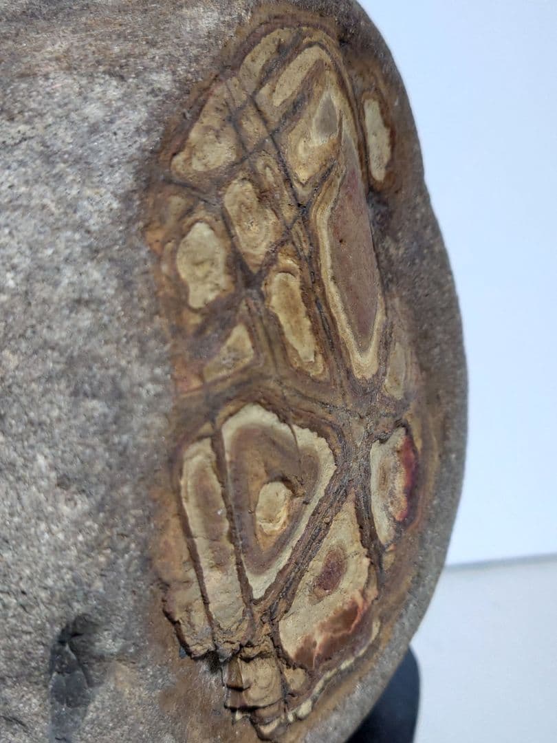 重信川馬蹄石　抽象画　水石 鑑賞石