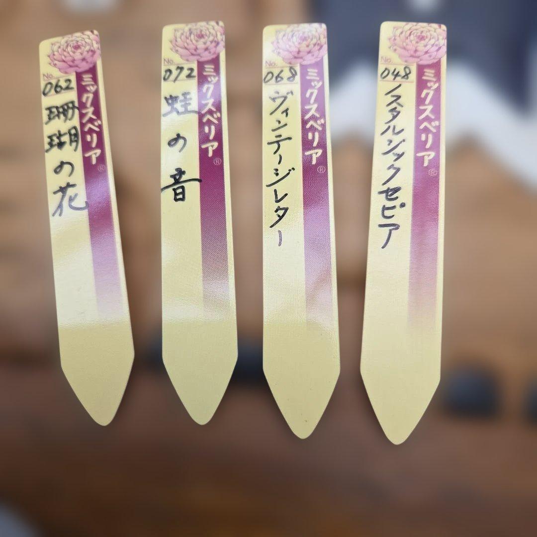 ミックスベリア札のみ