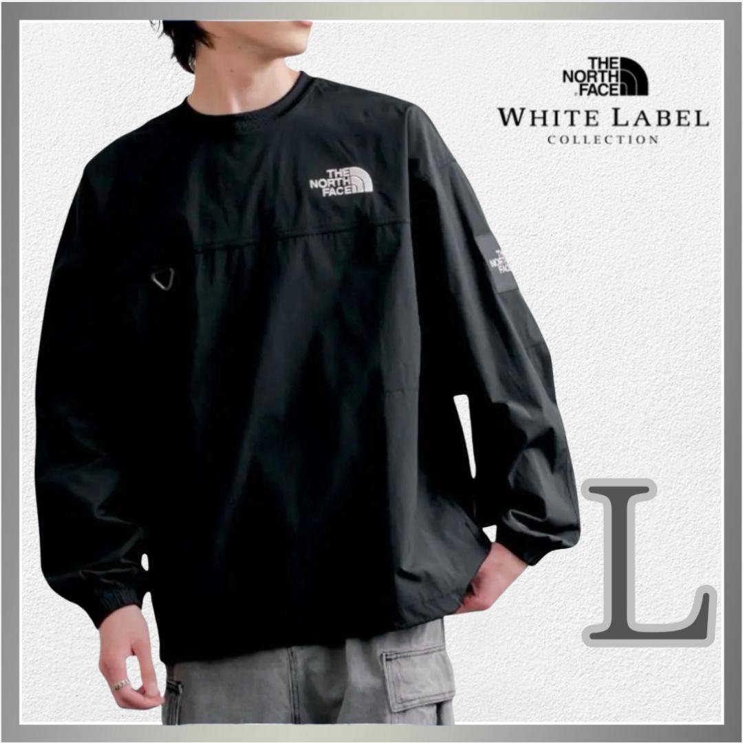韓国限定ノースフェイス アルバニー EX クルーネック　黒　長袖 Lサイズ