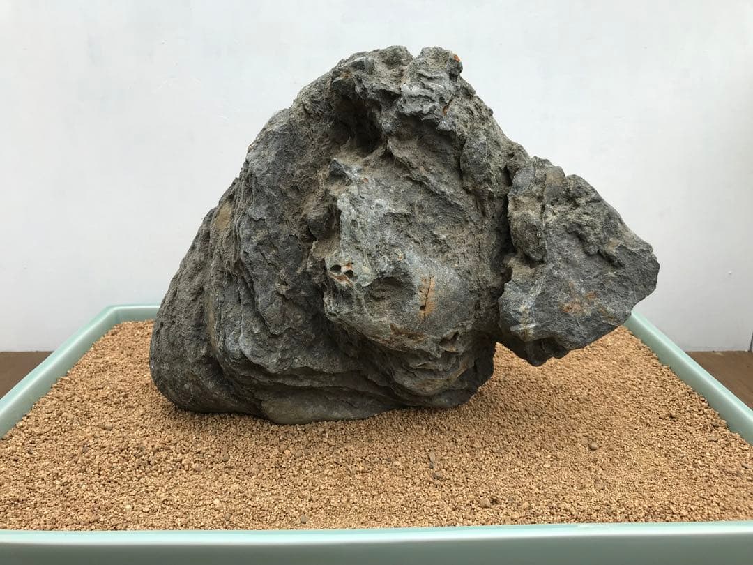 【水石】銘石 加茂川『真黒石』　加茂川石