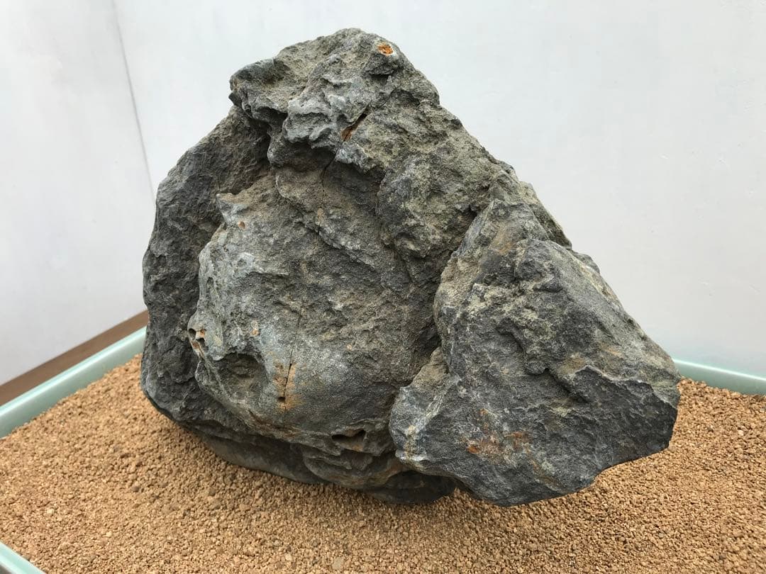 【水石】銘石 加茂川『真黒石』　加茂川石