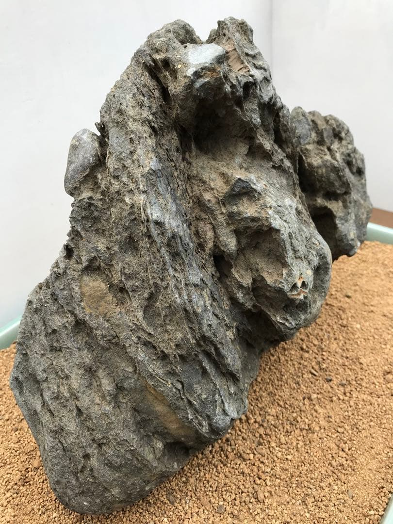 【水石】銘石 加茂川『真黒石』　加茂川石