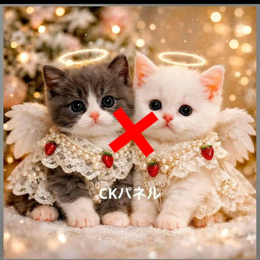 激レア天使ねこちゃんパネル生地　ハンドメイド