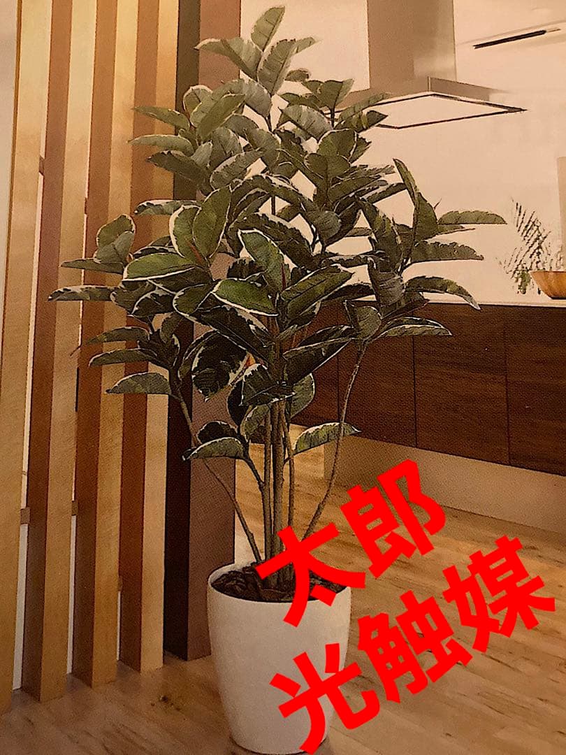 光触媒　人工観葉植物　ウォールグリーン　フェイクグリーン　アルテシマ16