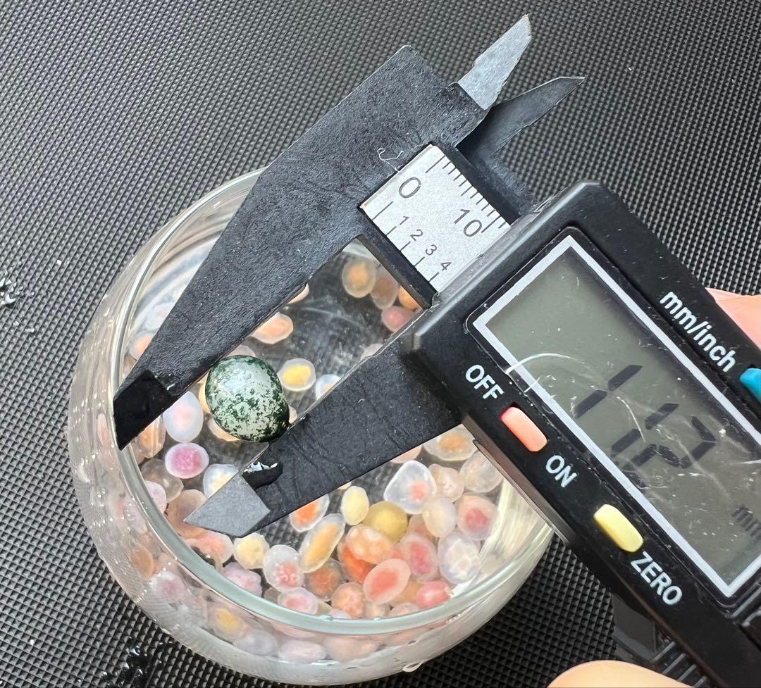 ゴビ石−1400 ゴビ瑪瑙　原石　極小粒　カラーフル