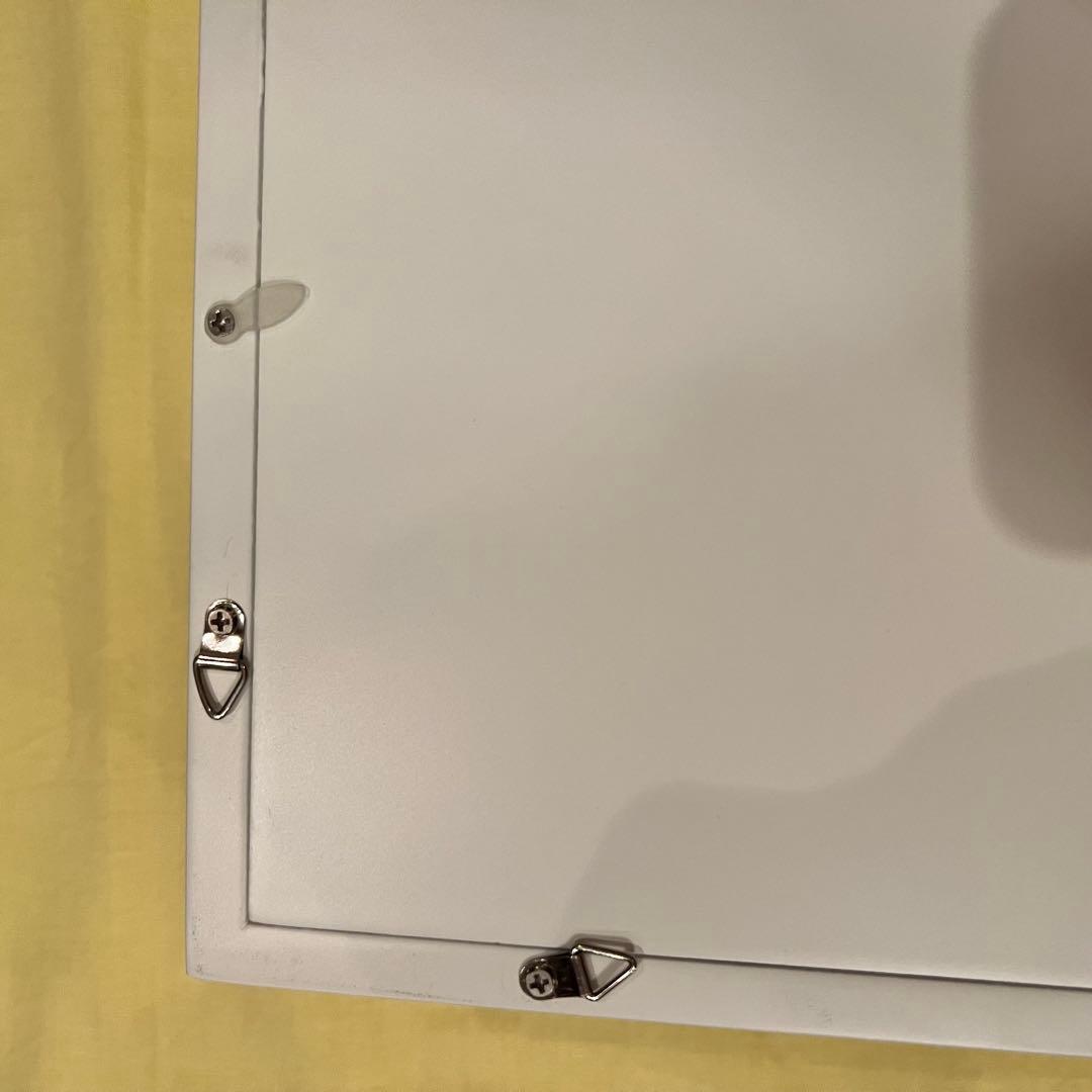 大型　額入り　クリスマス　プリザーブドフラワー　アレンジメント インテリア