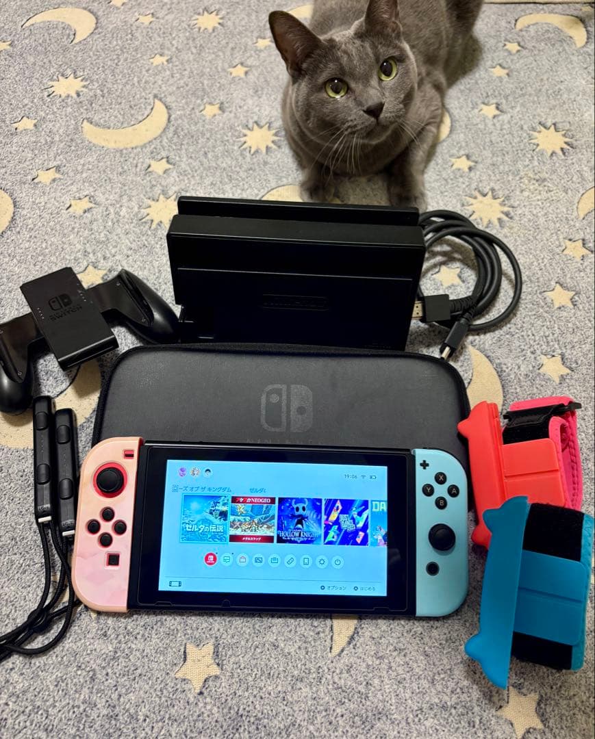 【サルさん専用】スイッチ本体 NintendoSwitch 動物森版スイッチ