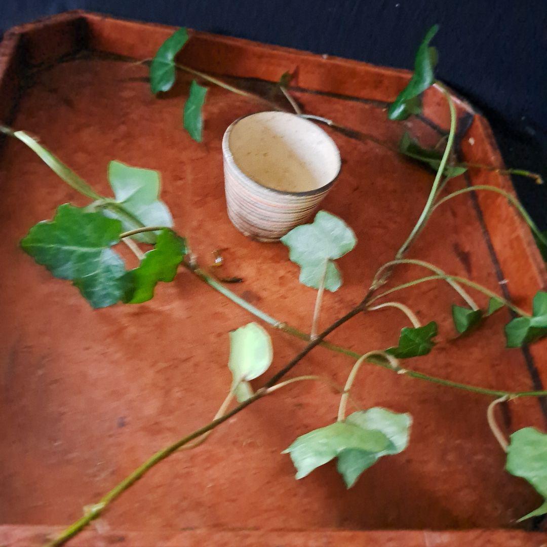 「ロマンいっぱい、輪線文！」 古瀬戸蕎麦猪口(直径6.5cm) 骨董アンティー