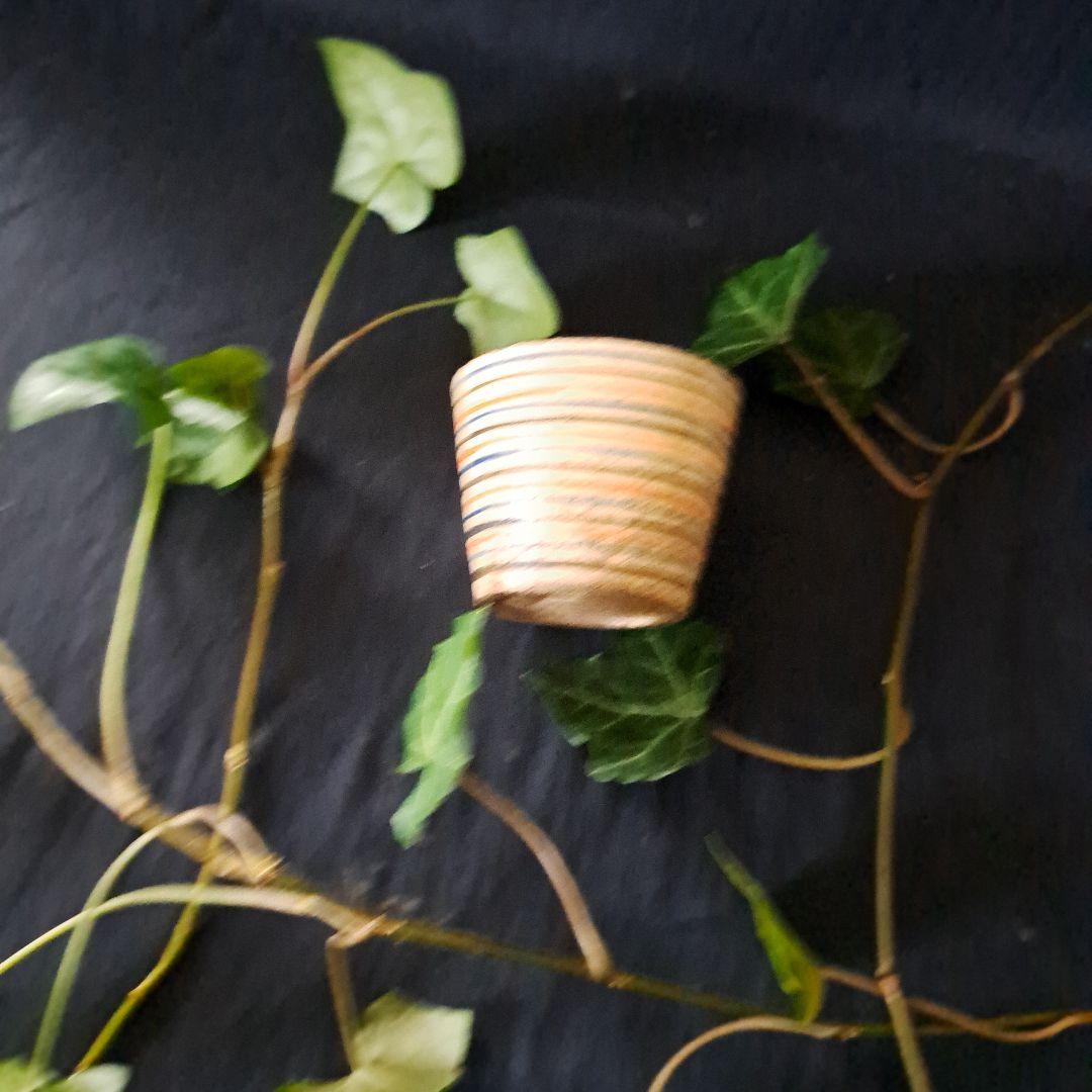 「ロマンいっぱい、輪線文！」 古瀬戸蕎麦猪口(直径6.5cm) 骨董アンティー