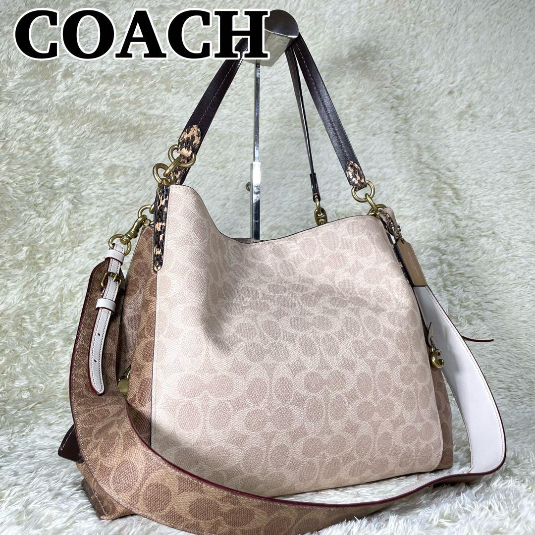 レア❗️コーチ ダルトン 31 ブロック シグネチャー スネークスキン ディテール