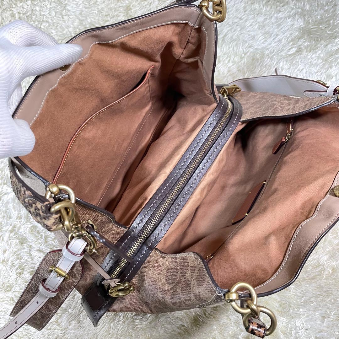 レア❗️コーチ ダルトン 31 ブロック シグネチャー スネークスキン ディテール