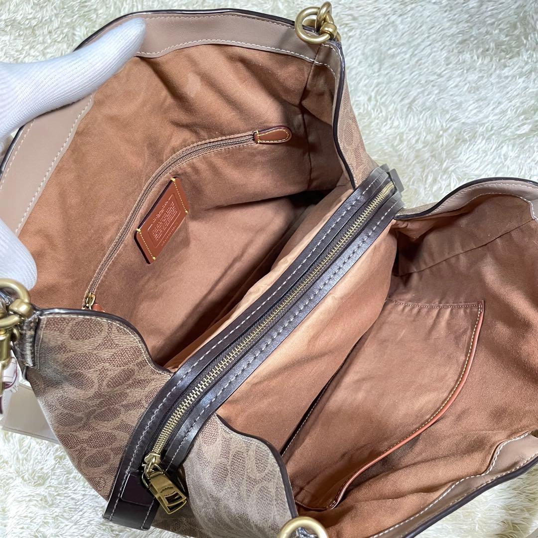 レア❗️コーチ ダルトン 31 ブロック シグネチャー スネークスキン ディテール