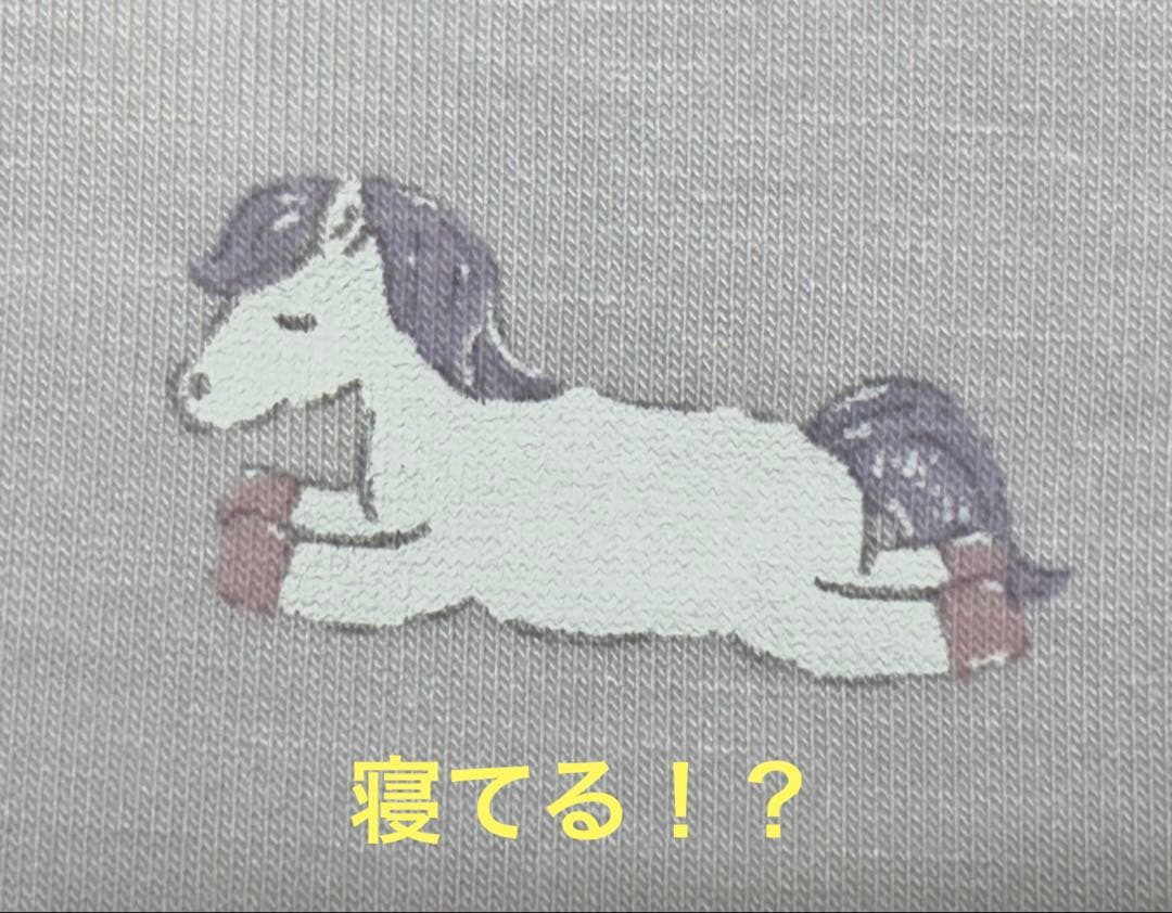 ジェラートピゲ 5点セット【開封のみ未使用】2026ハッピーボックス