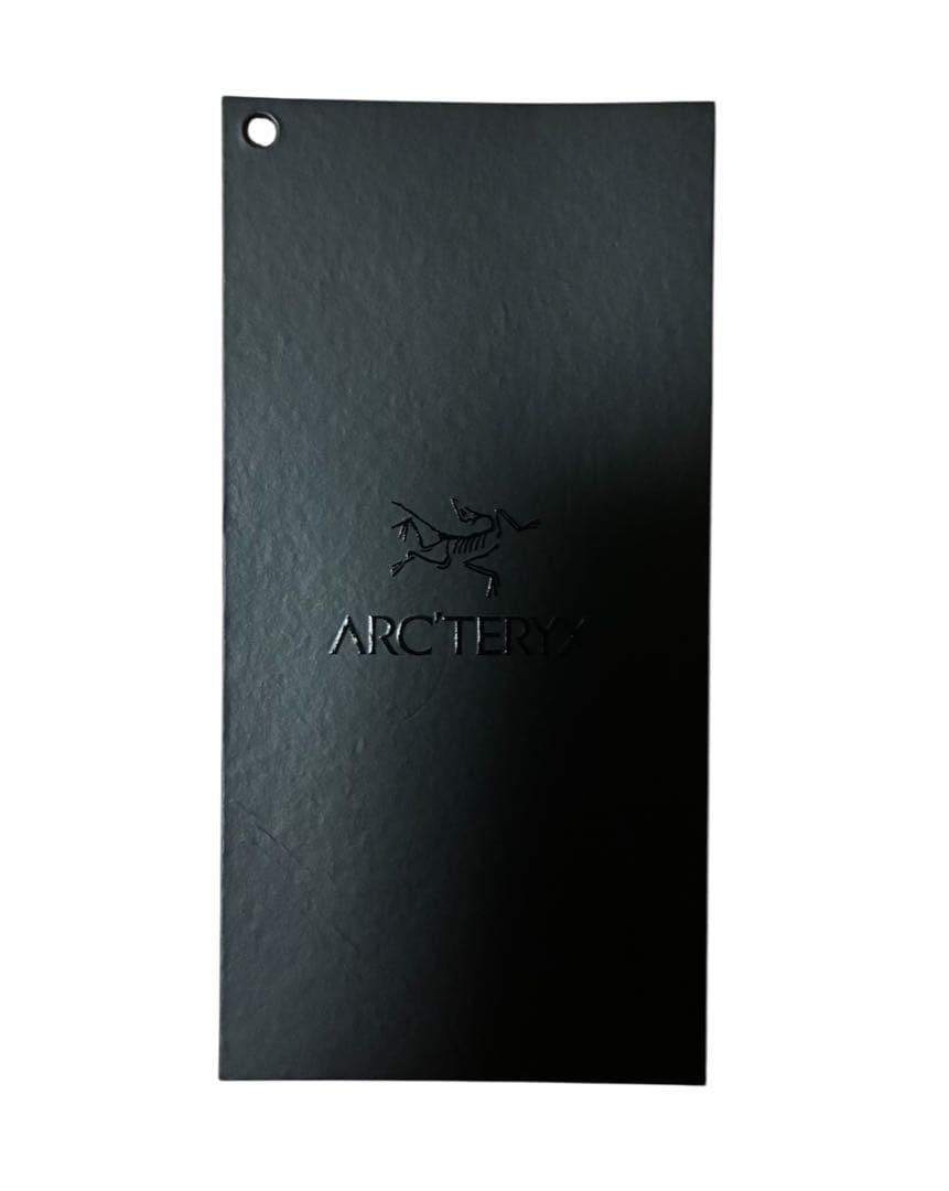 アークテリクス　メンズT