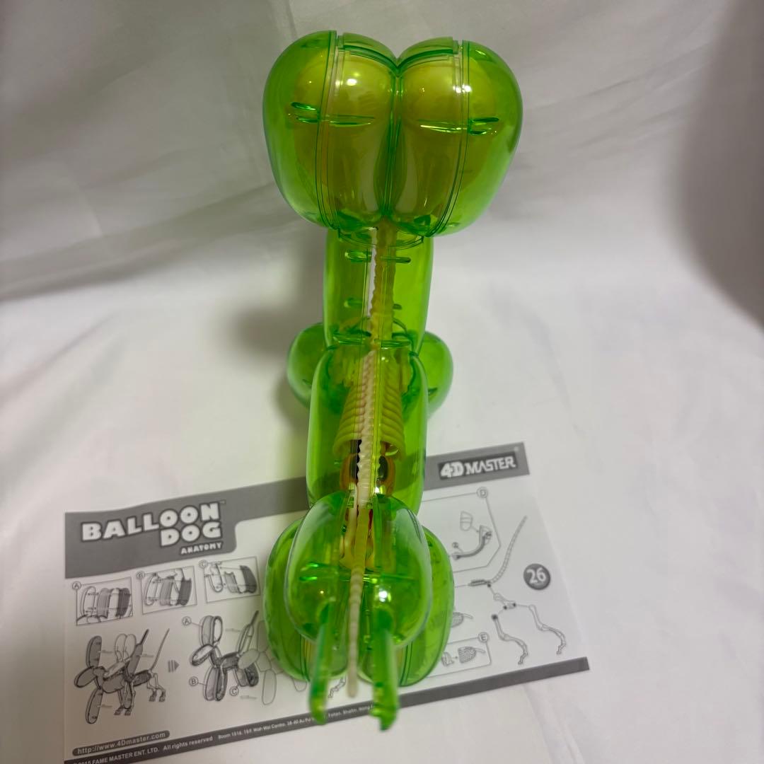 4d master フォーディーマスター バルーンドッグ　スケルトン　グリーン