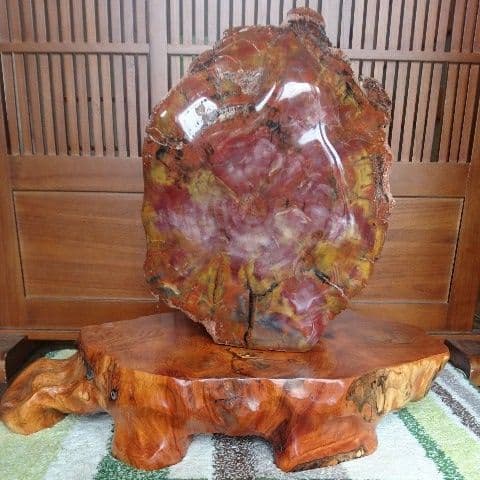 最高級 アリゾナ産 珪化木 原石 宝石 パワーストーン オブジェ 置物 化石