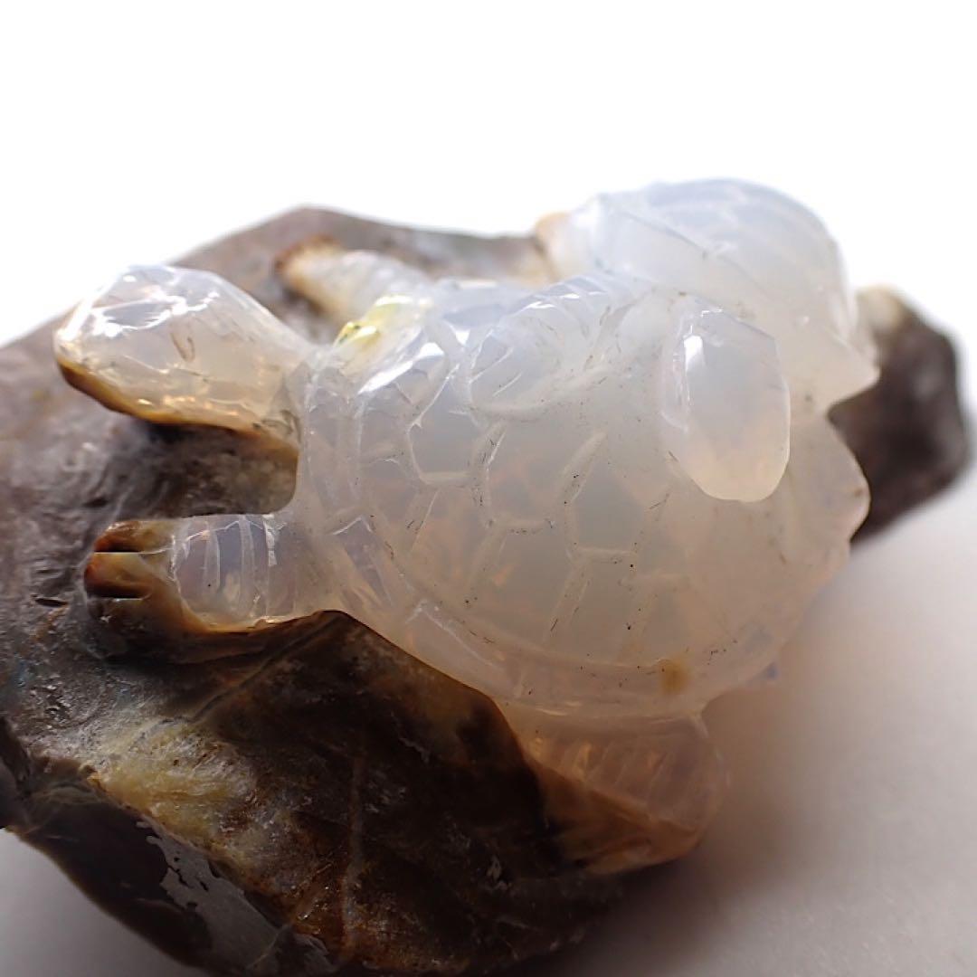 【オーストラリア産】オパールカービング(親子亀モチーフ)