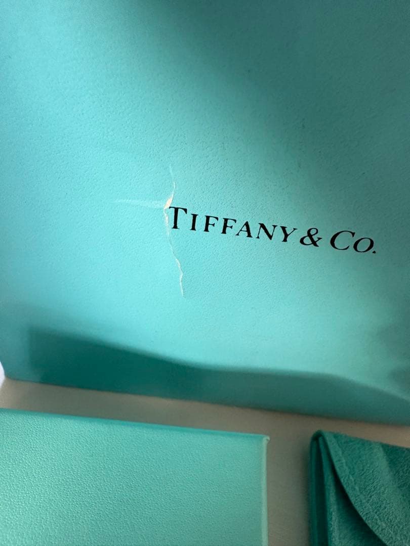 Tiffany & Co. ドッグタグネックレス sv925 シルバー925