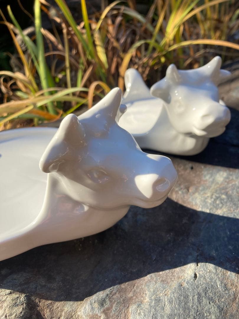 ヨーロッパ製　牛のチーズ皿　白磁　陶器皿La Porcellana Bianca