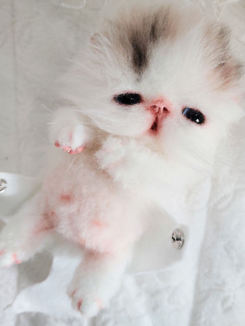 hana様御予約❤生後10日♡子猫ちゃんとうさちゃんのぬいぐるみ♡おむつ♡