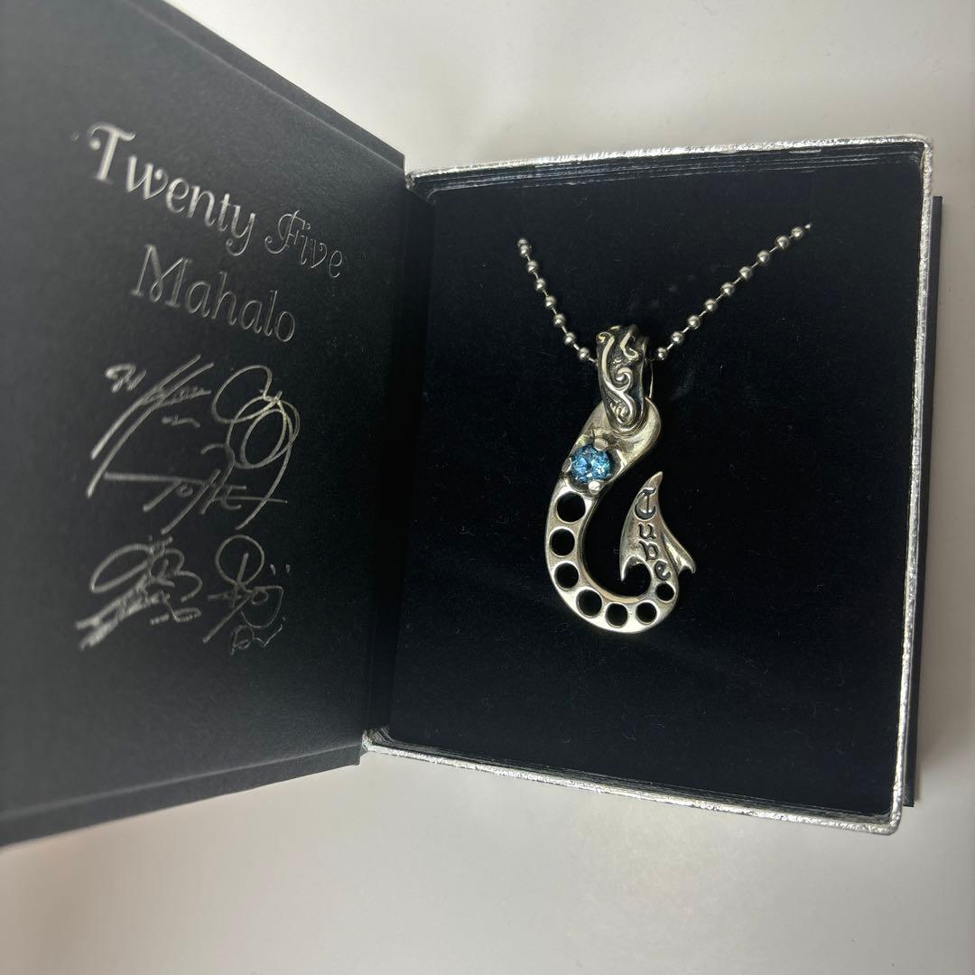 ⚠️超希少 TUBE × BWL 25th アニバーサリーシルバーペンダント箱付き