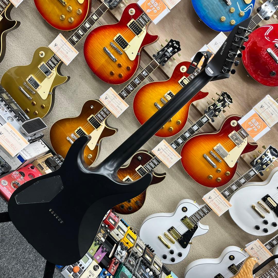 【11581】Grass Roots by ESP HORIZON セットネック